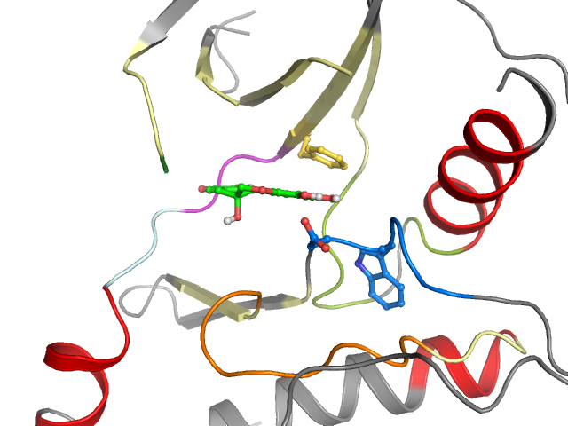 The orthosteric binding pocket