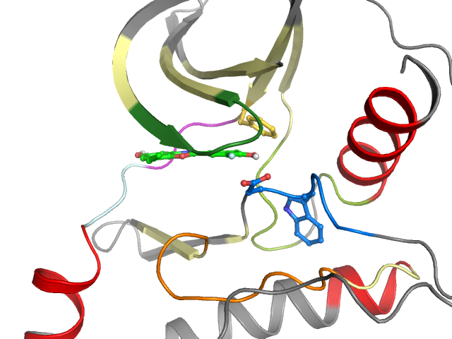 The orthosteric binding pocket