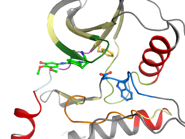 The orthosteric binding pocket