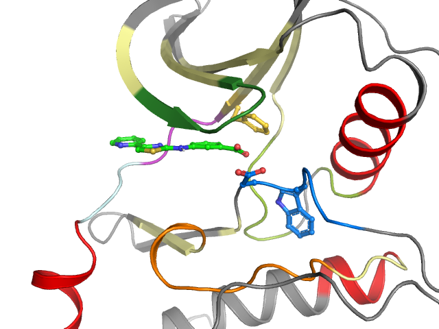 The orthosteric binding pocket
