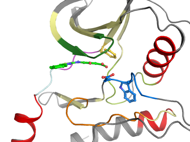 The orthosteric binding pocket
