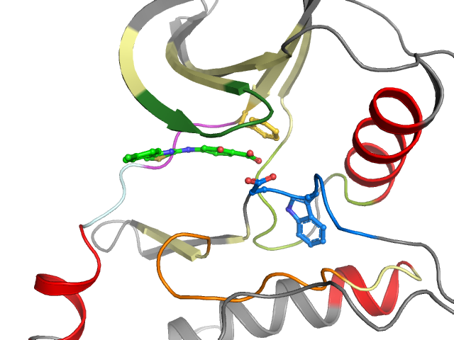 The orthosteric binding pocket