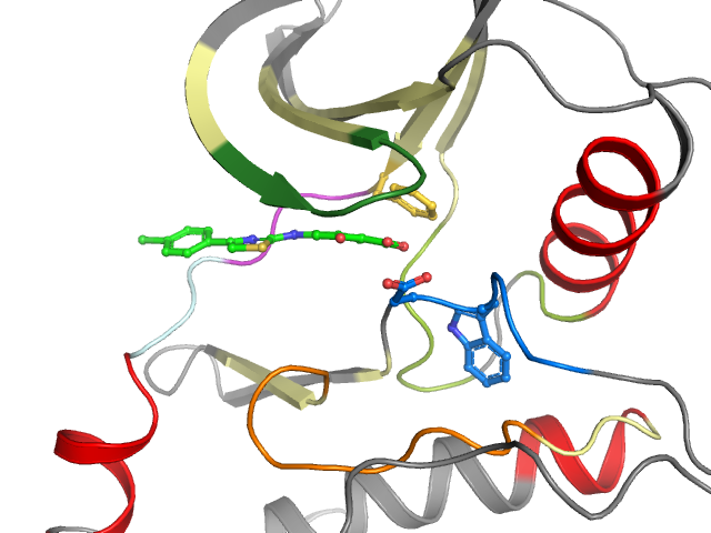 The orthosteric binding pocket