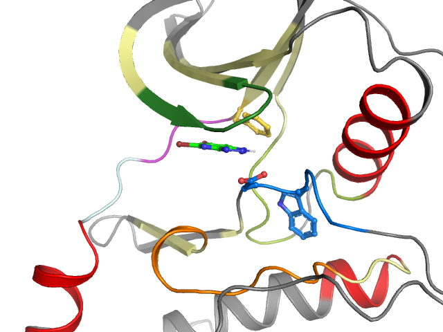 The orthosteric binding pocket