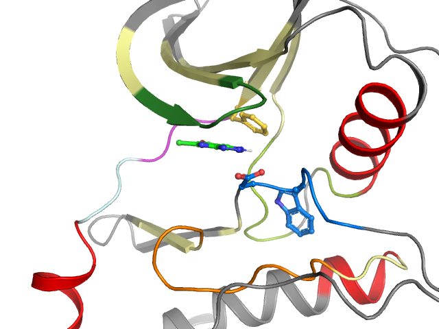 The orthosteric binding pocket