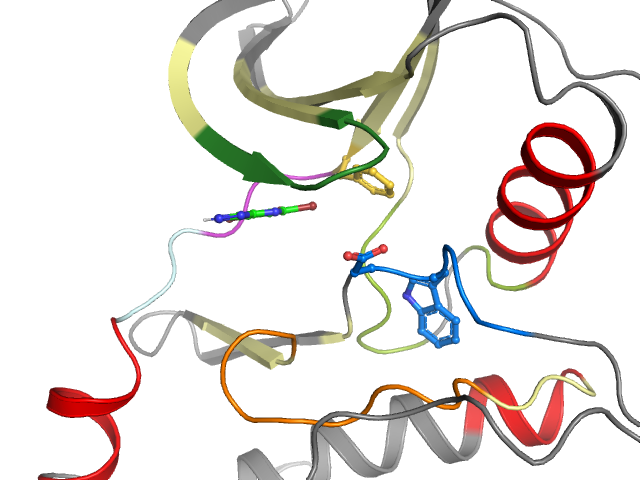 The orthosteric binding pocket