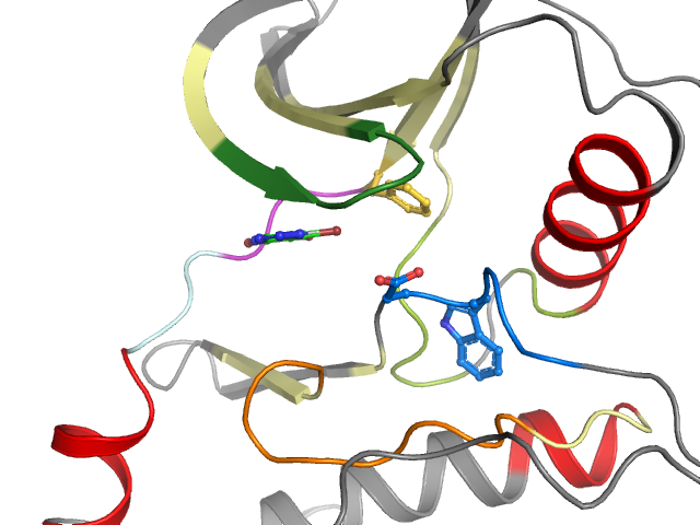 The orthosteric binding pocket