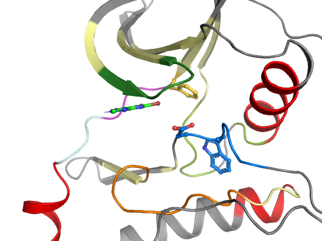 The orthosteric binding pocket