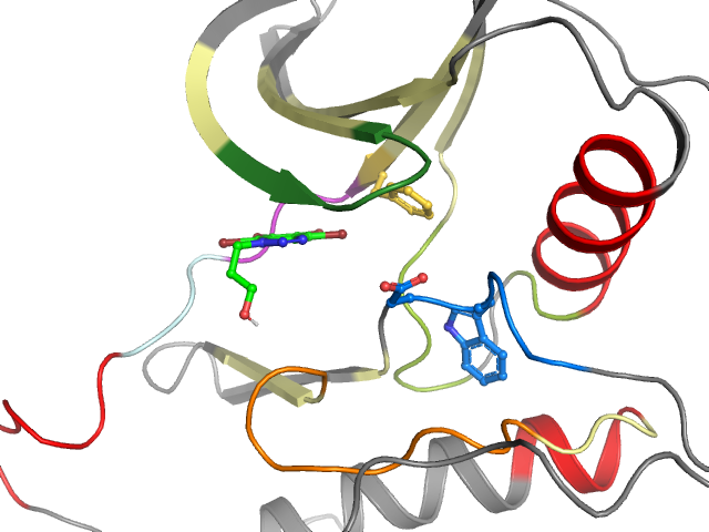 The orthosteric binding pocket