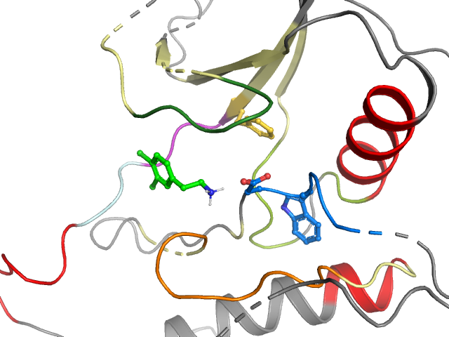 The orthosteric binding pocket