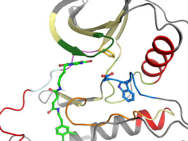 The orthosteric binding pocket