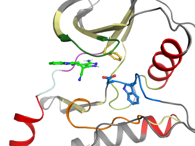 The orthosteric binding pocket