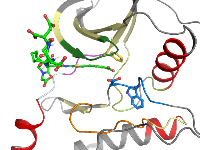 The orthosteric binding pocket