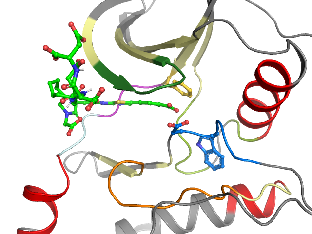 The orthosteric binding pocket