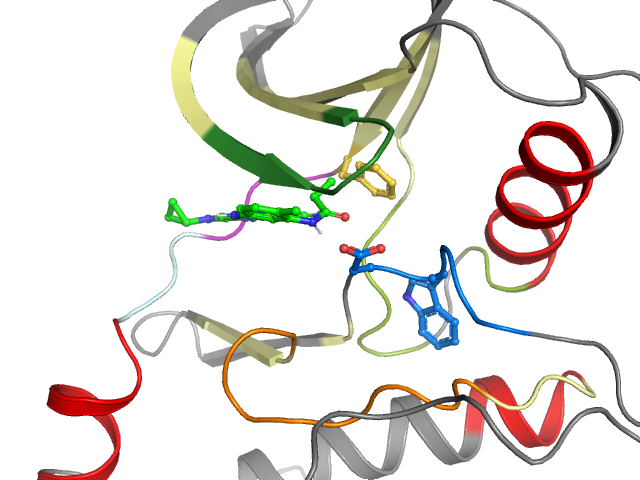 The orthosteric binding pocket