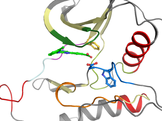 The orthosteric binding pocket