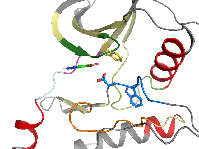 The orthosteric binding pocket