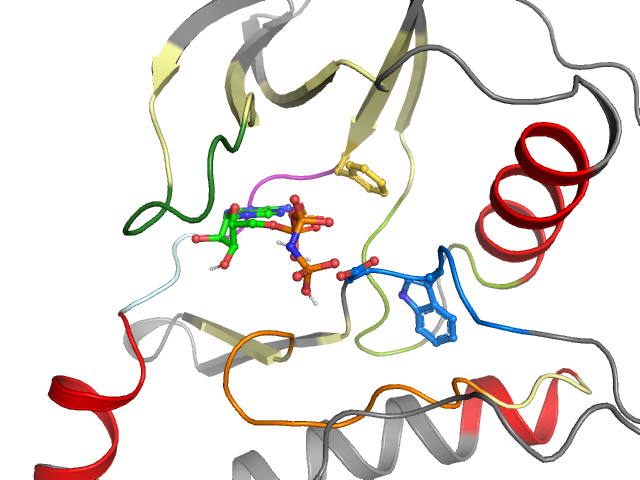 The orthosteric binding pocket