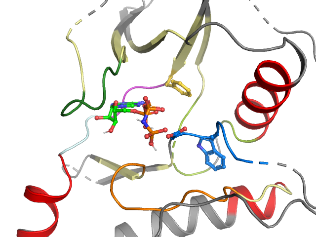 The orthosteric binding pocket