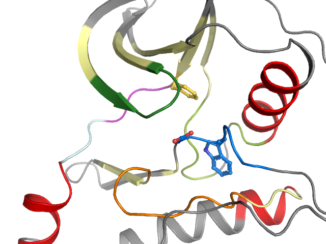 The orthosteric binding pocket