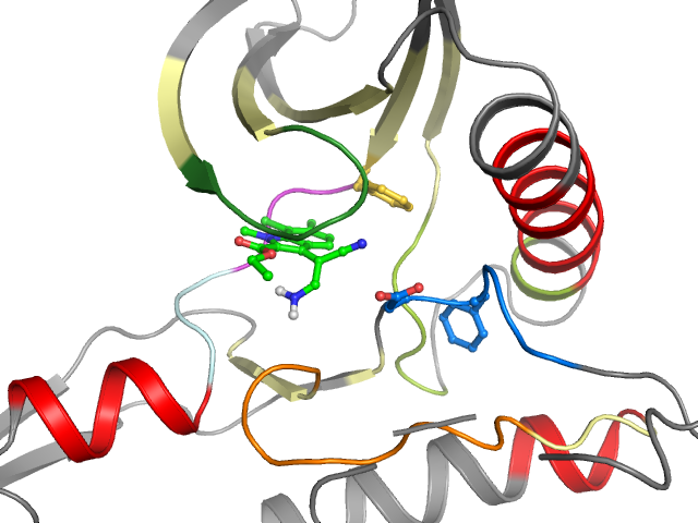 The orthosteric binding pocket