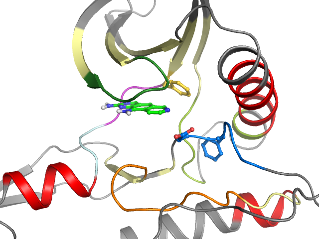 The orthosteric binding pocket
