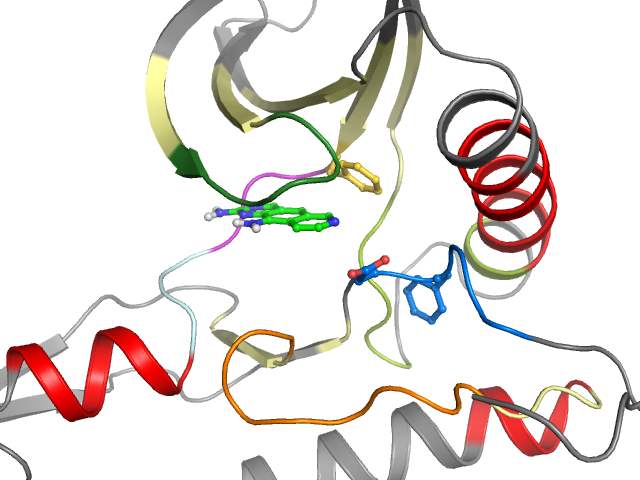 The orthosteric binding pocket