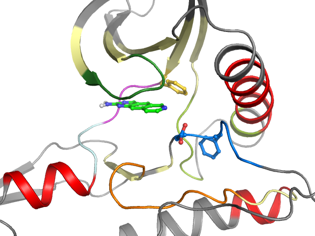 The orthosteric binding pocket