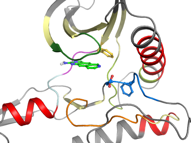 The orthosteric binding pocket