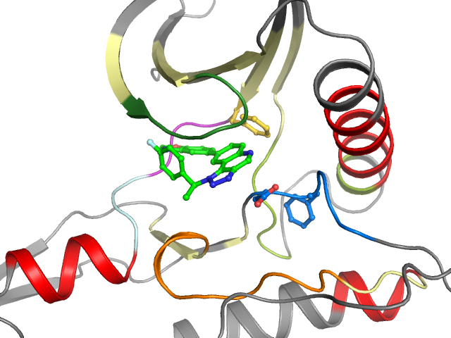The orthosteric binding pocket