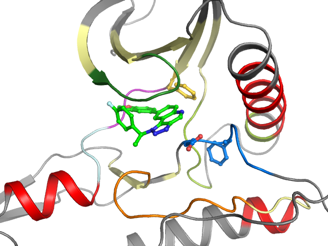 The orthosteric binding pocket
