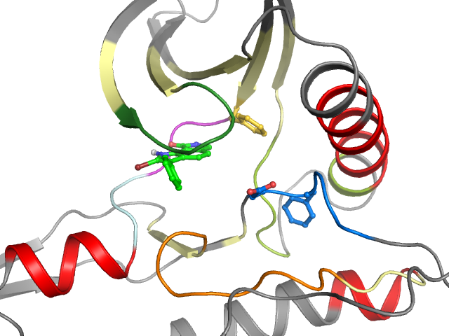 The orthosteric binding pocket