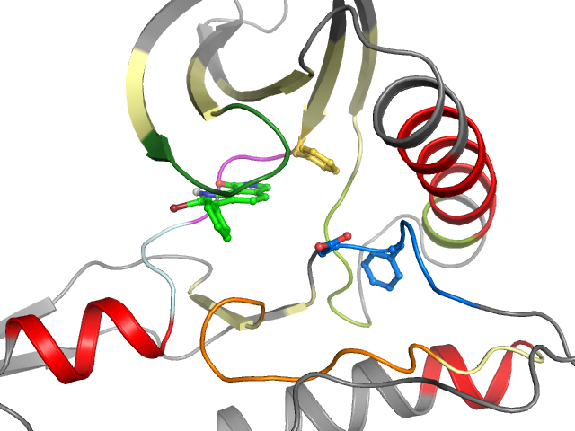 The orthosteric binding pocket