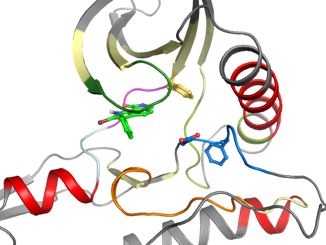 The orthosteric binding pocket