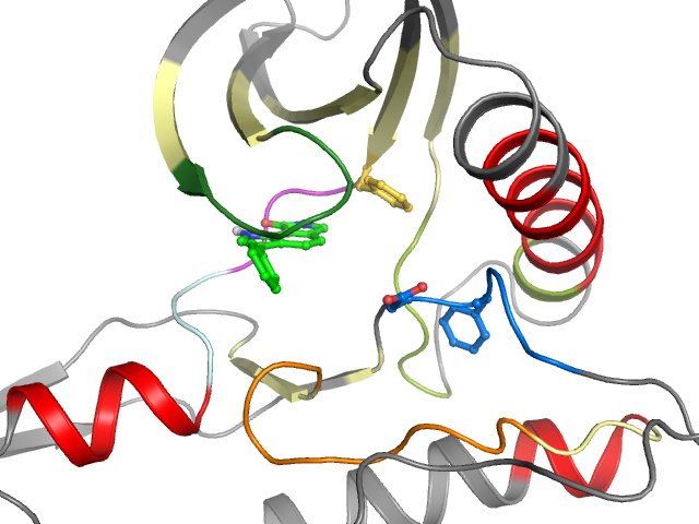 The orthosteric binding pocket