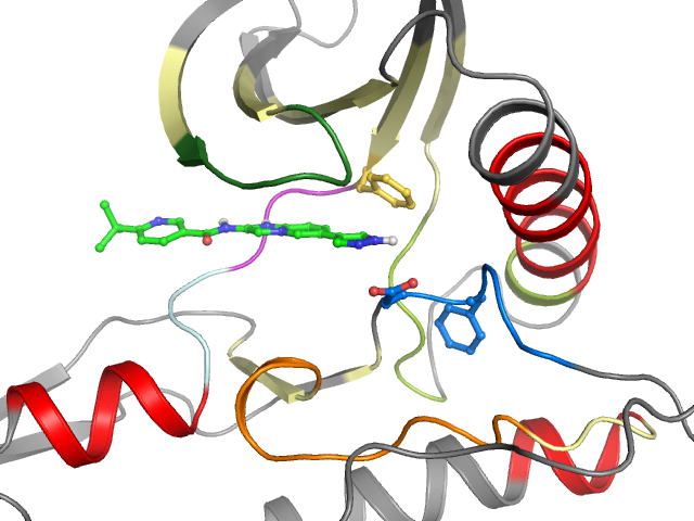 The orthosteric binding pocket