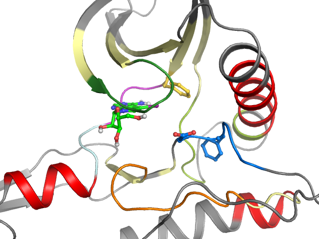 The orthosteric binding pocket