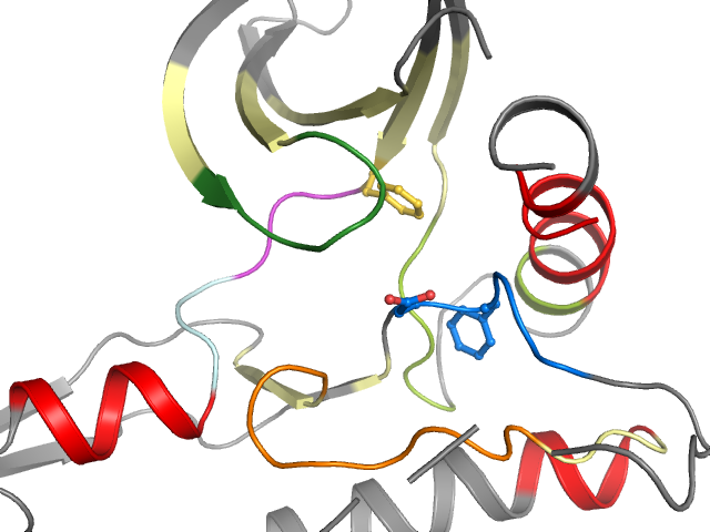 The orthosteric binding pocket