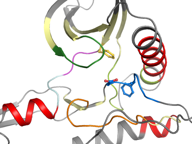 The orthosteric binding pocket