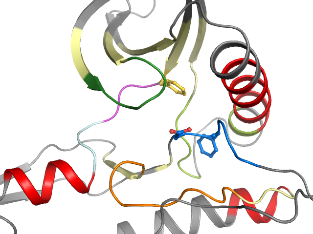 The orthosteric binding pocket