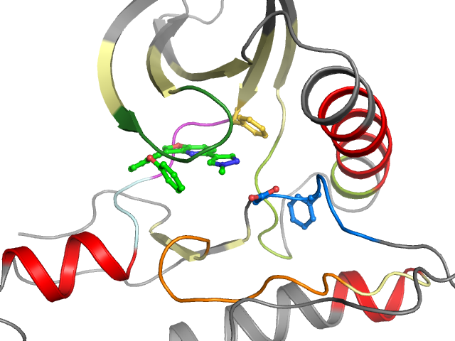 The orthosteric binding pocket
