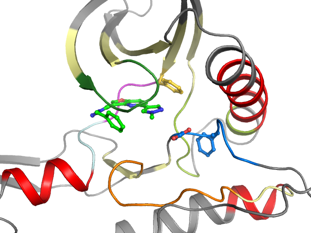 The orthosteric binding pocket