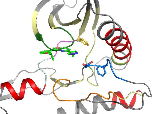 The orthosteric binding pocket