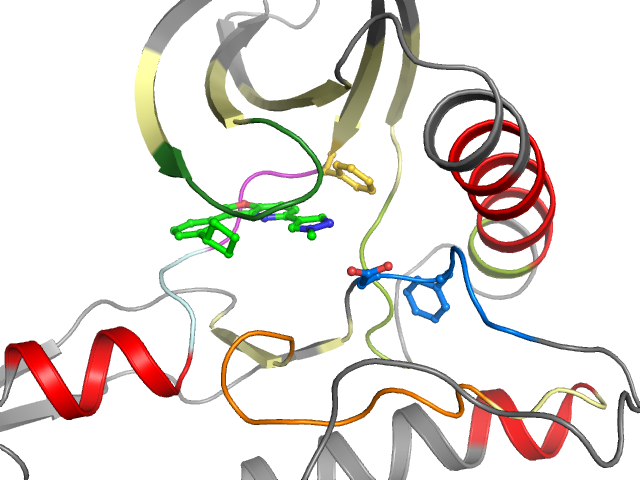 The orthosteric binding pocket