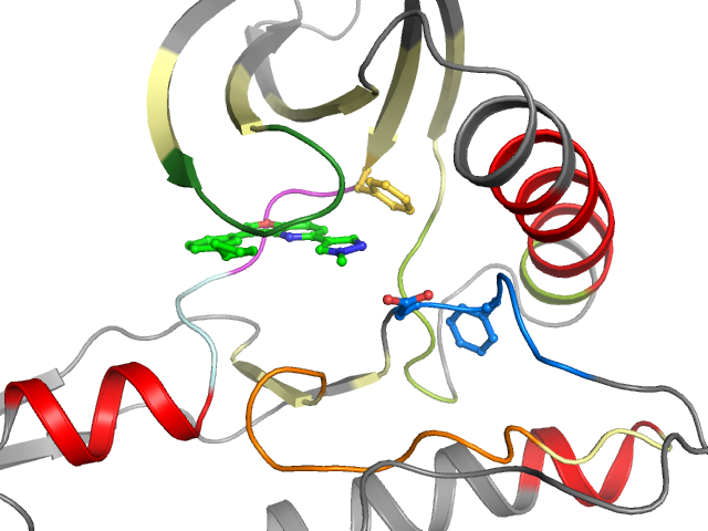 The orthosteric binding pocket