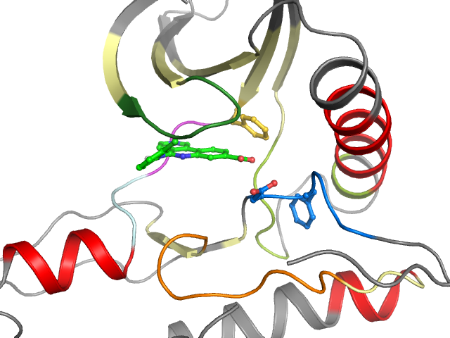 The orthosteric binding pocket