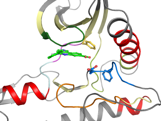 The orthosteric binding pocket