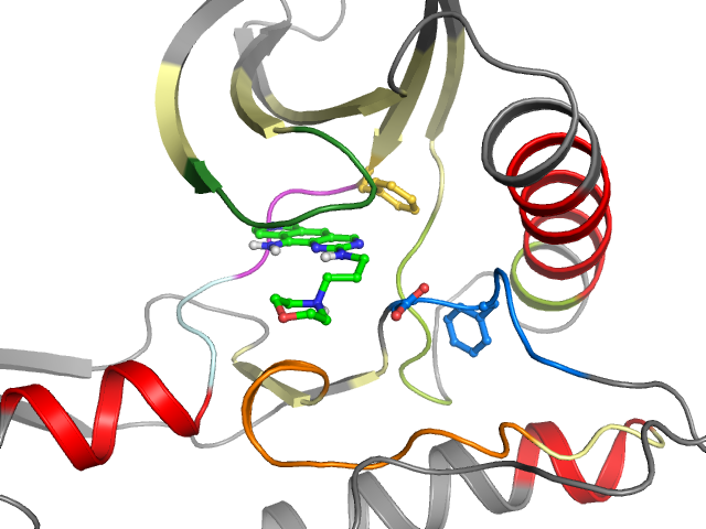 The orthosteric binding pocket