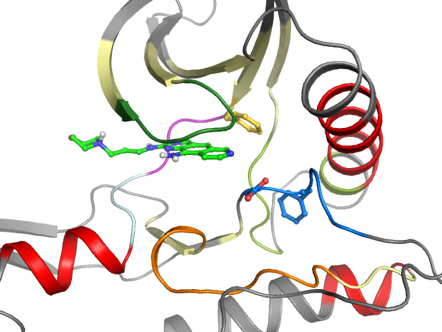 The orthosteric binding pocket