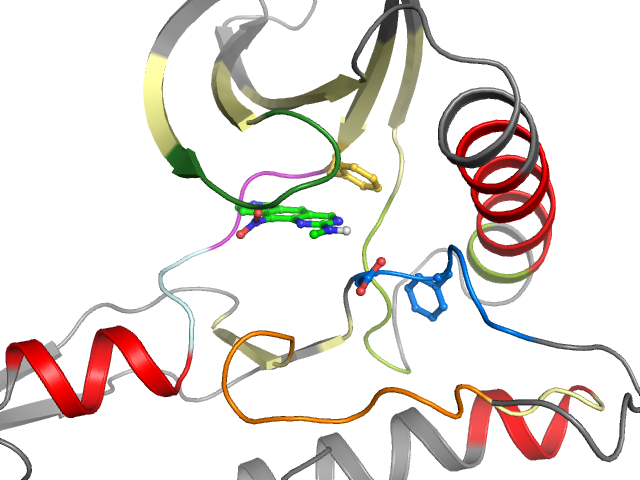 The orthosteric binding pocket